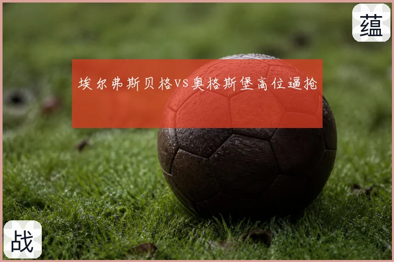 埃尔弗斯贝格vs奥格斯堡高位逼抢